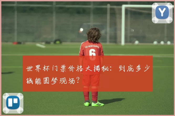 世界杯门票价格大揭秘:到底多少钱能圆梦现场?