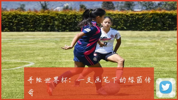 手绘世界杯：一支画笔下的绿茵传奇