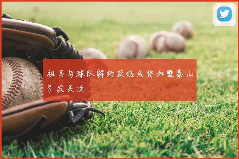 祖马与球队解约获赔或将加盟泰山引发关注