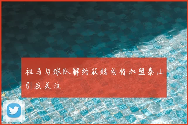 祖马与球队解约获赔或将加盟泰山引发关注