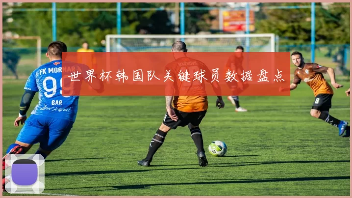 世界杯韩国队关键球员数据盘点