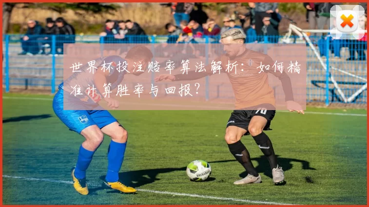世界杯投注赔率算法解析：如何精准计算胜率与回报？