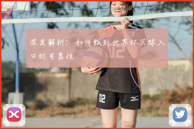 深度解析：如何甄别世界杯买球入口的可靠性