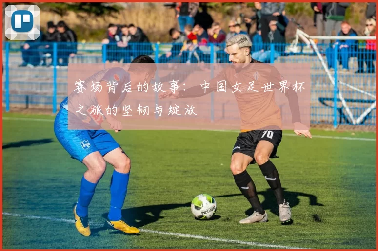 赛场背后的故事：中国女足世界杯之旅的坚韧与绽放