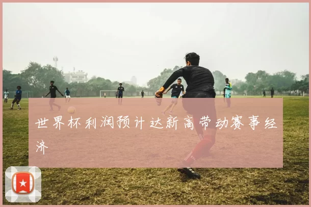 世界杯利润预计达新高带动赛事经济