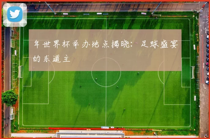 年世界杯举办地点揭晓：足球盛宴的东道主