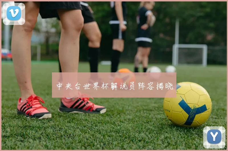 中央台世界杯解说员阵容揭晓
