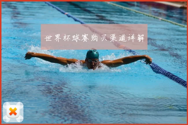 世界杯球赛购买渠道详解